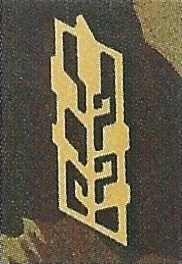 Ranks, badges, patches, epaulets of the Swiss Armed Forces - Page 12 Hoeher10