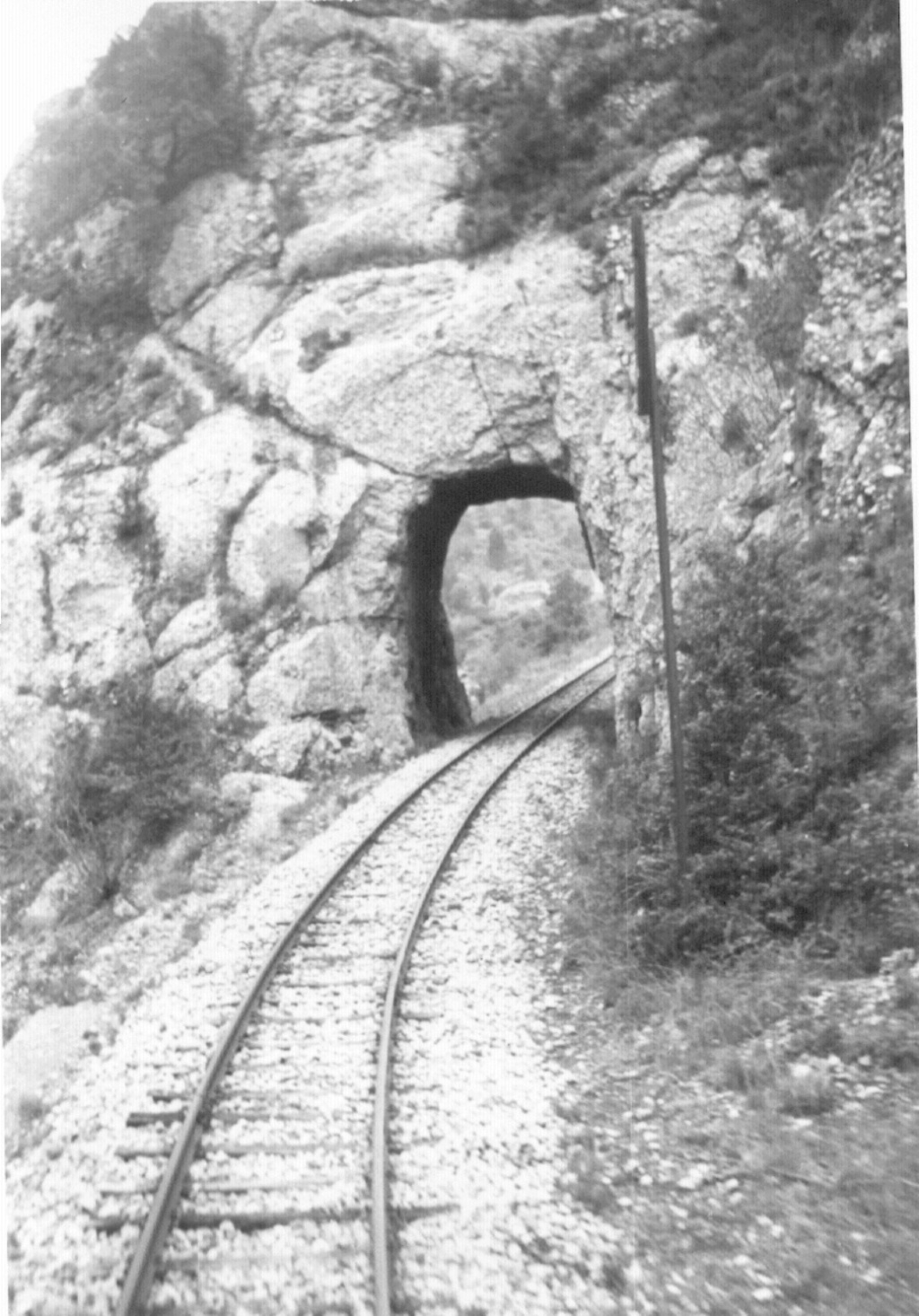 Via verda del Llobregat-Arqueologia ferroviària  entre Cal Rosal i la Presa de la Baells. - Página 3 Foto_210