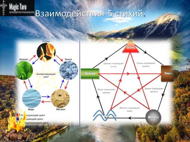 5 элементов человека