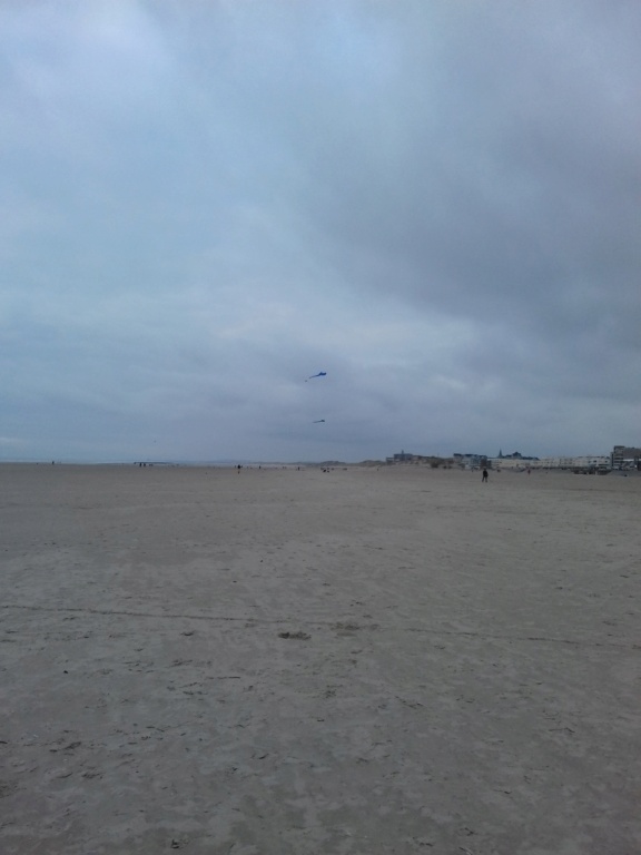 Une après midi à Berck Raie10