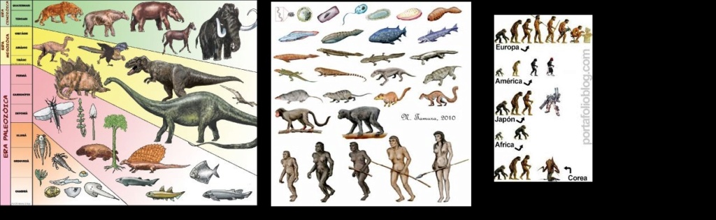 EL MITO DE LA VIDA MORTAL EN LA MATERIA... Evoluc10