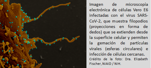 ALERTA ZOMBI ¡!.. PUES AL FINAL NO ERA COÑA... Main-q13