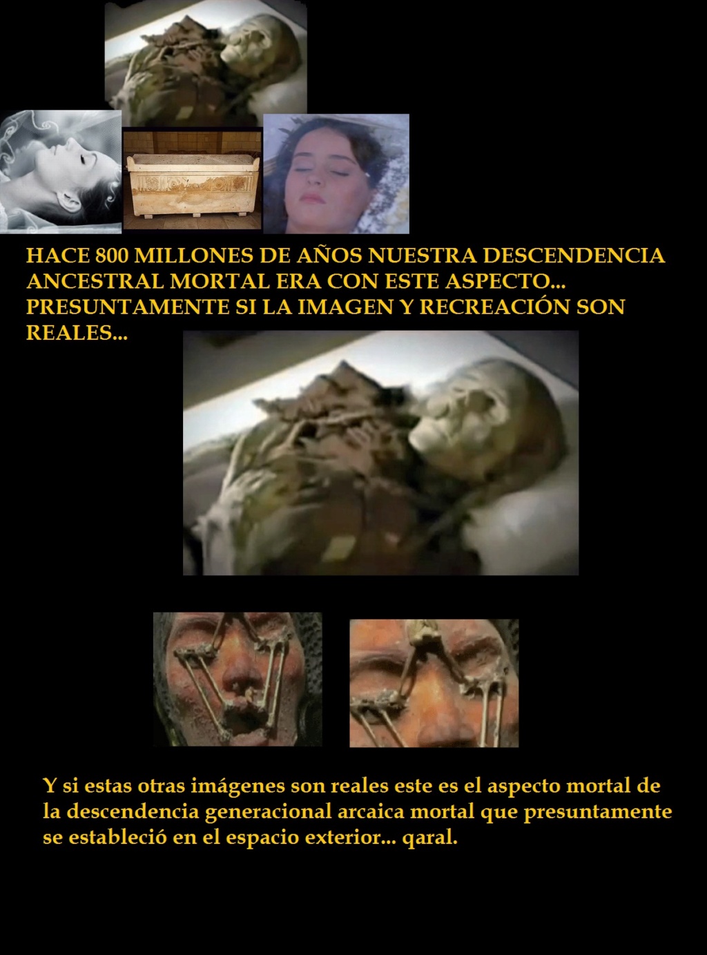 ¿PRUEBA PRESUNTA DE DESCENDENCIA ANCESTRAL ARCAICA MORTAL DE 800 MILLONES DE AÑOS? Prinse10