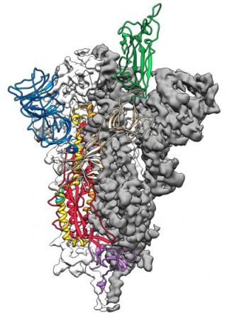 EL VIRUS NEUMÓNICO DE WUHAN ES EL VIRUS DEL SIDA... Unname33