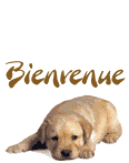 Présentation C4a48f11