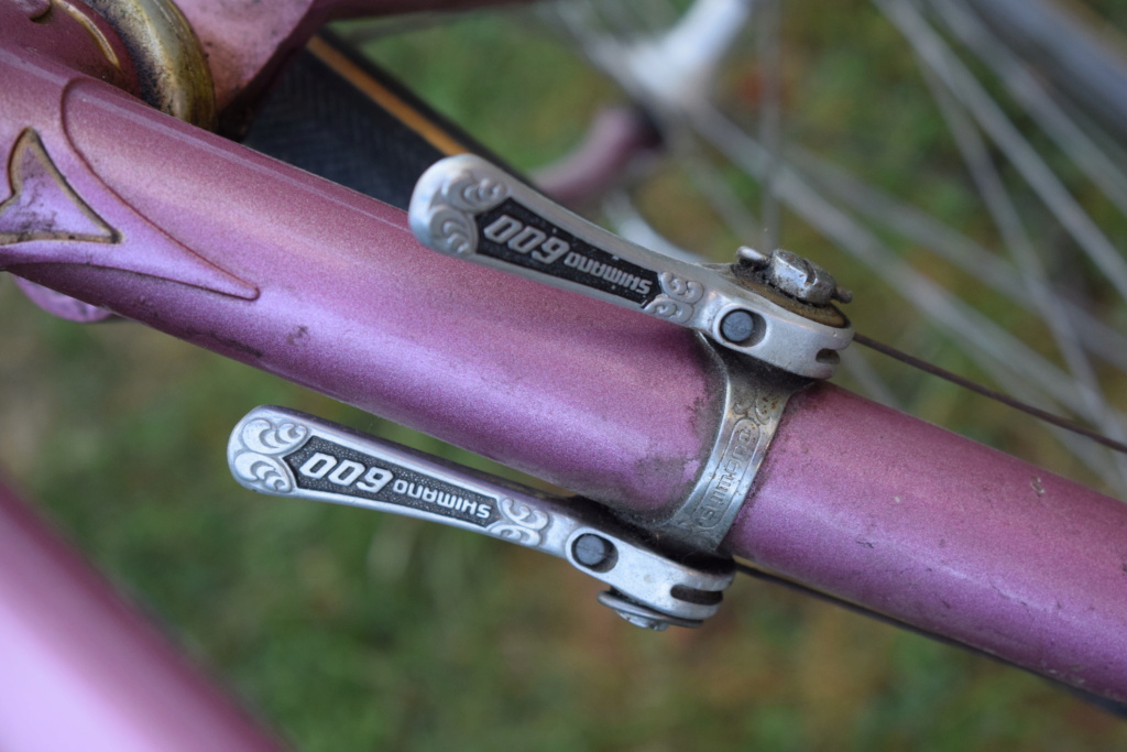 MERCIER VITUS 600 ARABESQUE Dsc_0217