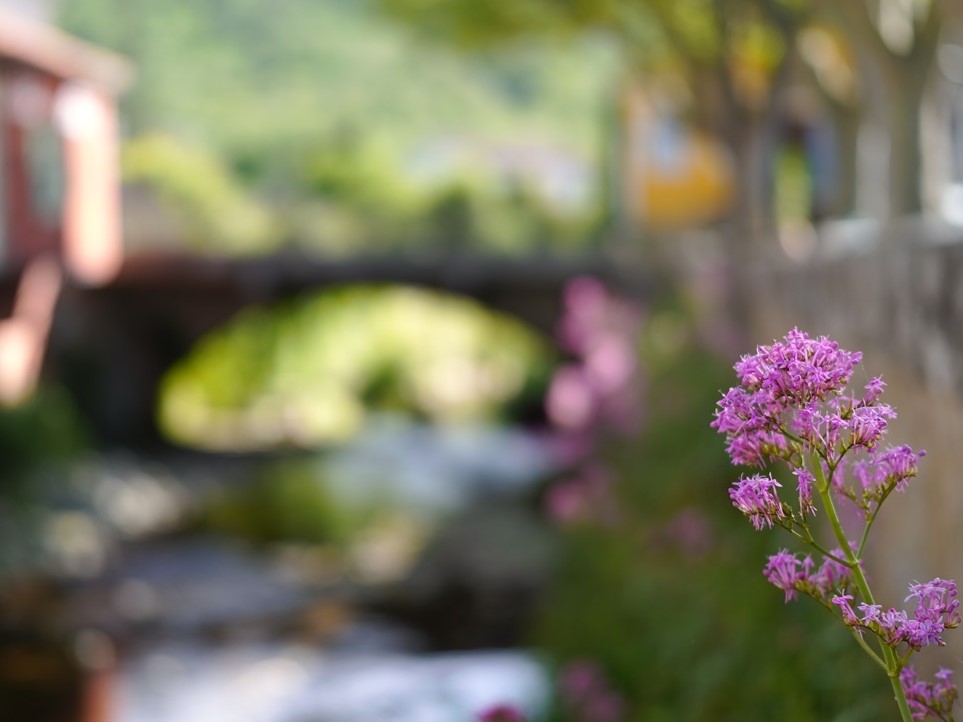 le pont ;) Sdim0711
