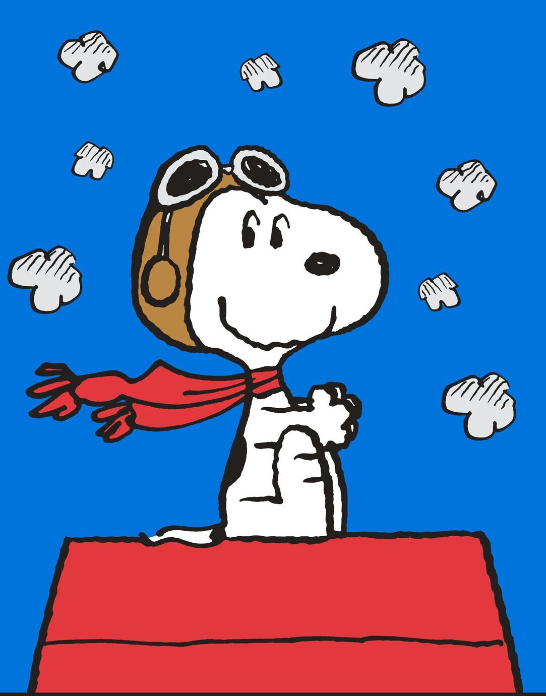 COXADOODLEDO Snoopy10