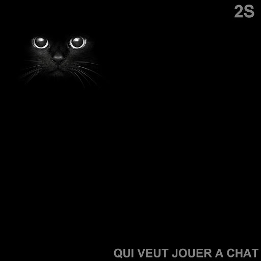 2s-Qui_Veut_Jouer_A_Chat-WEB-FR-2016-OND 00-2s-11