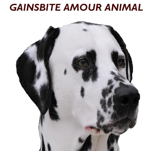 Gainsbite-Amour_Animal-WEB-FR-2019-OND 00-gai10