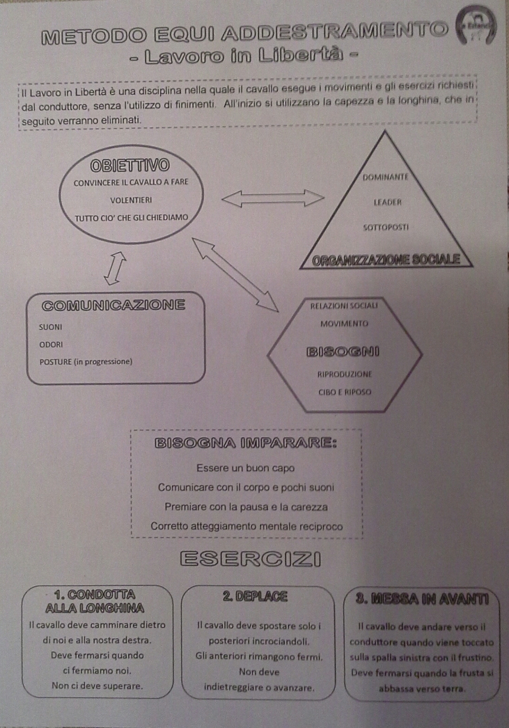 Camp di Carnevale  20200211