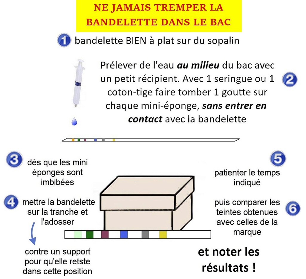 Recommencer à 0 mais bien cette fois... - Page 4 Bandel14