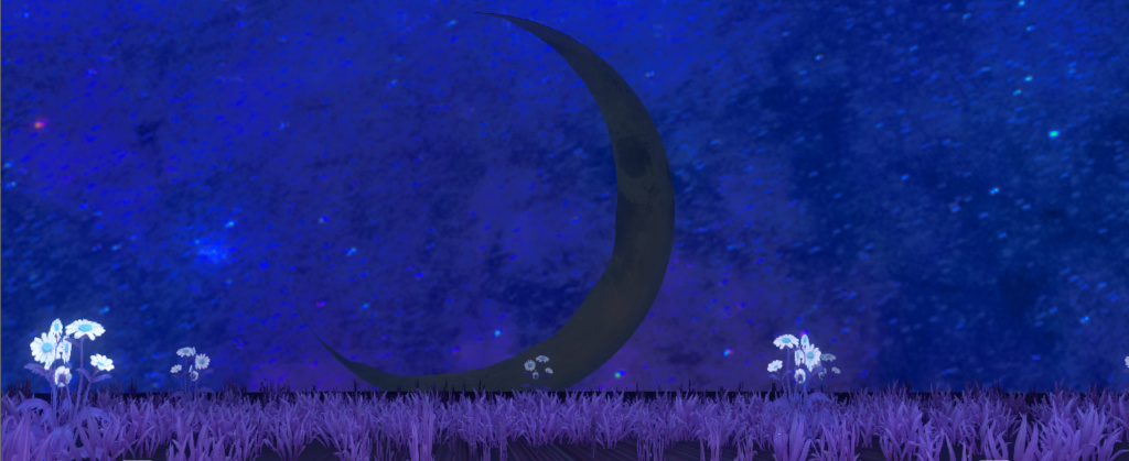 Moon Field By Zin Moon_f10