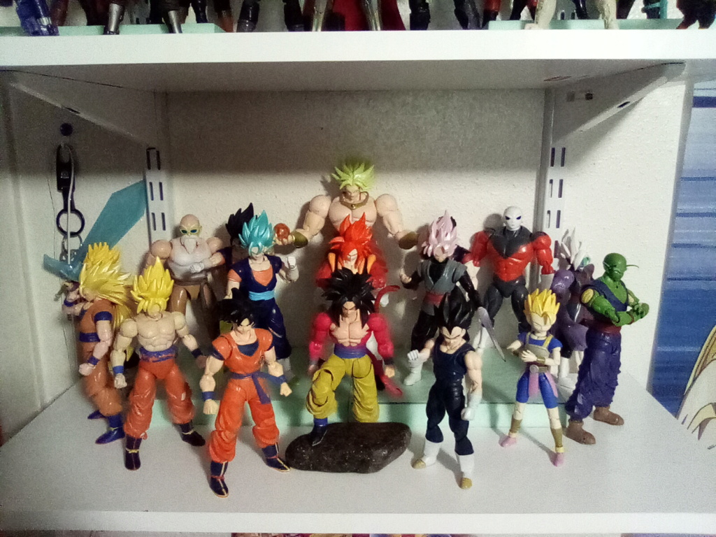 Dragon Ball Figure (Displays) Img_2038