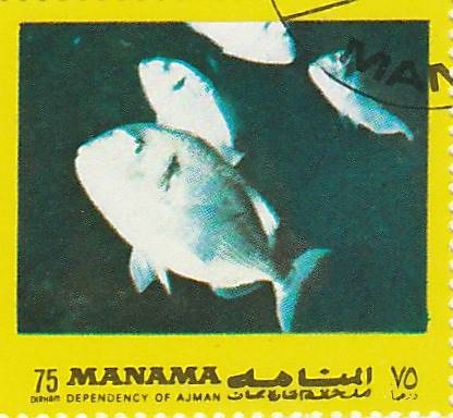 recherche noms de poissons sur des timbres Img_2010
