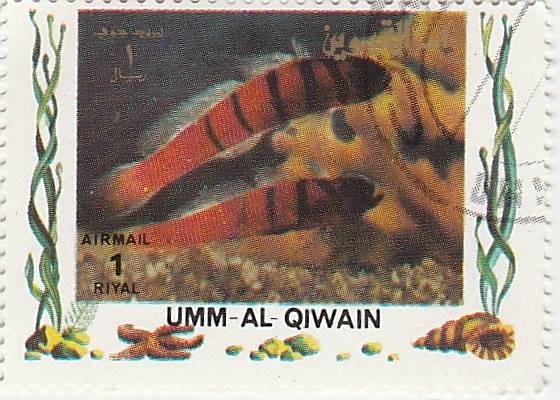 recherche noms de poissons sur des timbres Img_2014