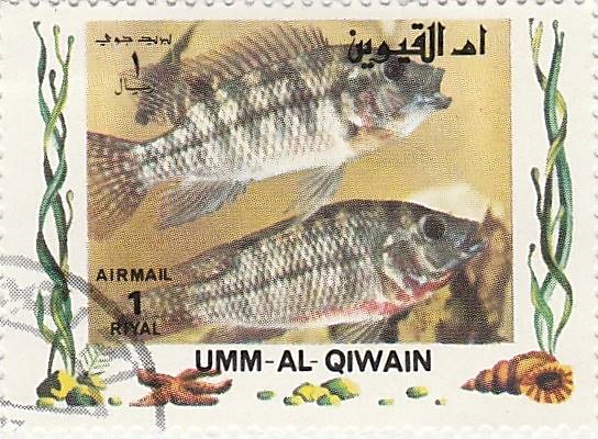 recherche noms de poissons sur des timbres Img_2015