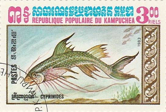 recherche noms de poissons sur des timbres Img_2017