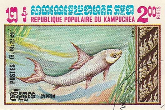 recherche noms de poissons sur des timbres Img_2018