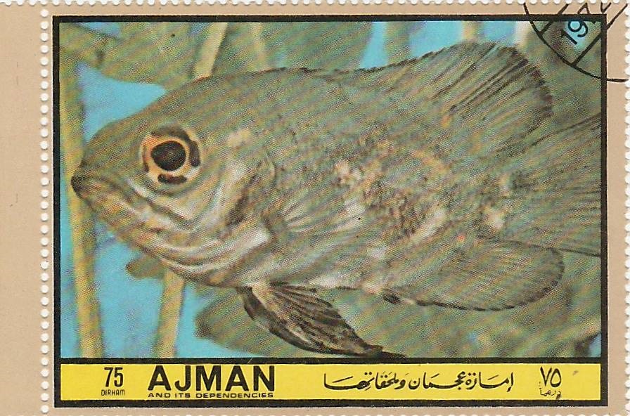 recherche noms de poissons sur des timbres Timbre11