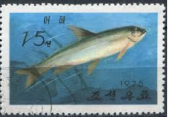 recherche nom de poisson sur un timbre Timbre13
