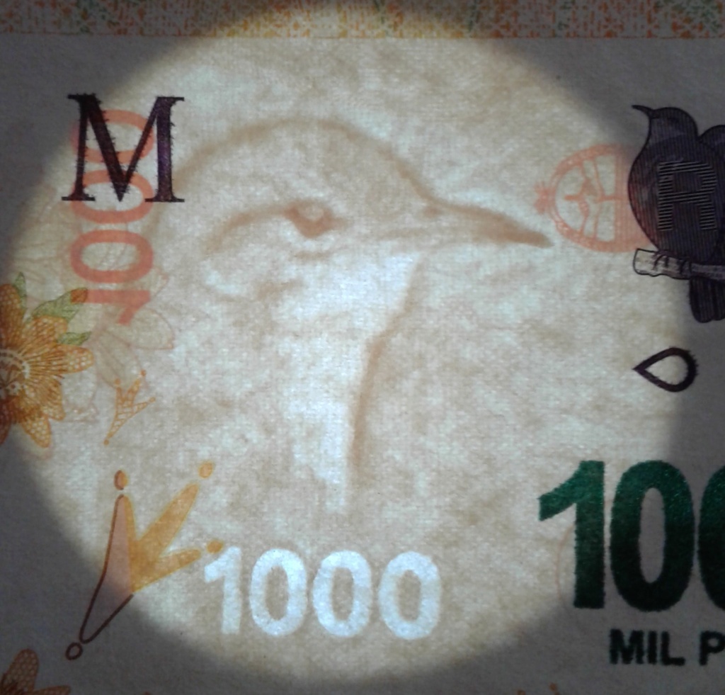 Argentina - Billete 1000 pesos Fabricado por FNMT Filigr12