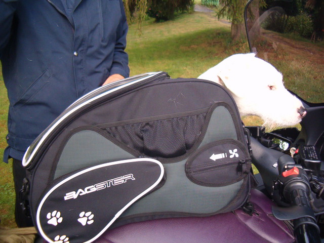 [accessoires] Nouveau sac Bagster pour chien Hpim1410