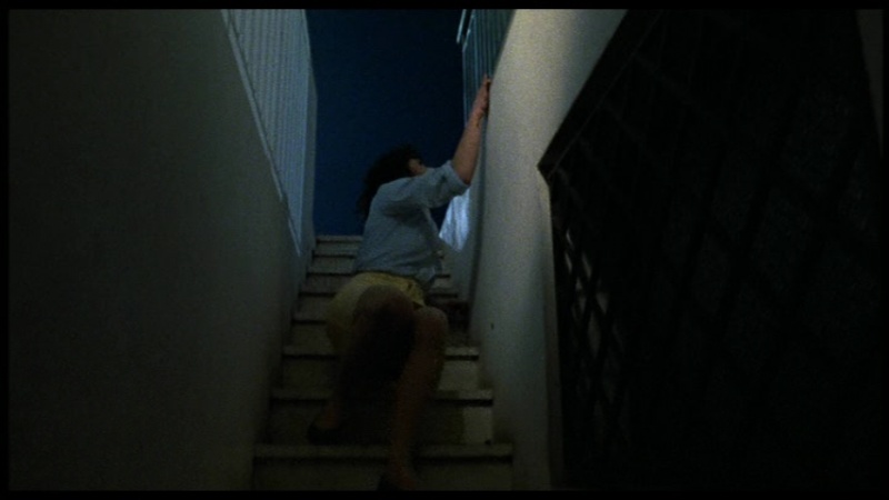 La casa con la scala nel buio / A Blade in the Dark (1983, Lamberto Bava) Screen16