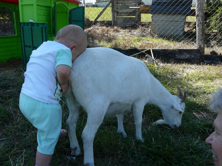 que de tendresse!! 22aout24