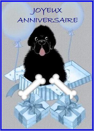 Joyeux Anniversaire Irene Et Seb14
