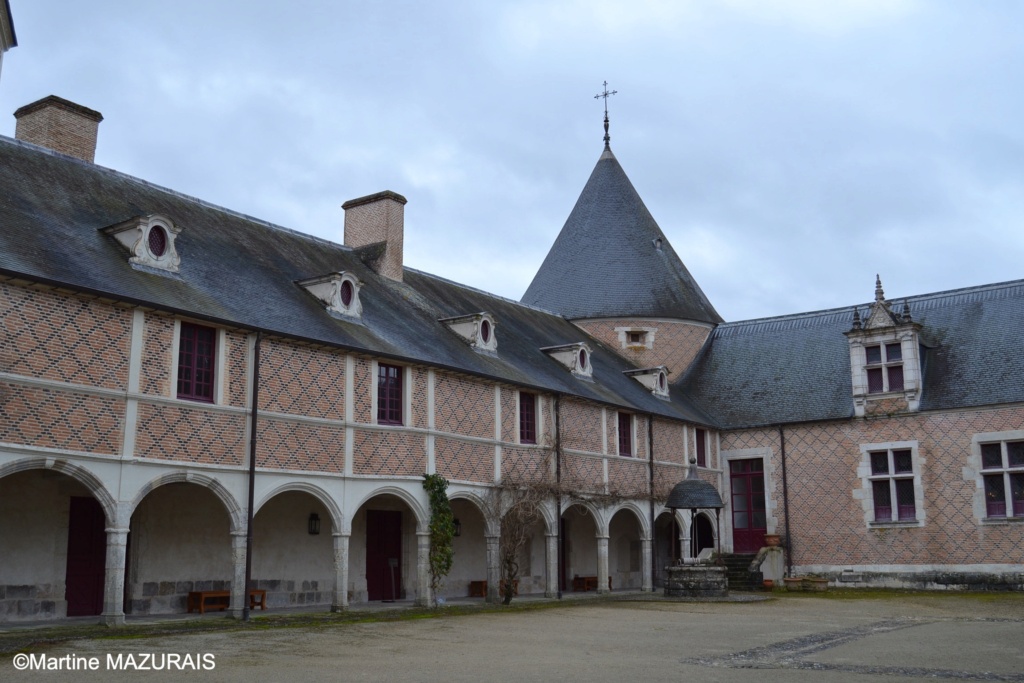 Chilleurs aux Bois (45) - Le château de Chamerolles 01-02-25