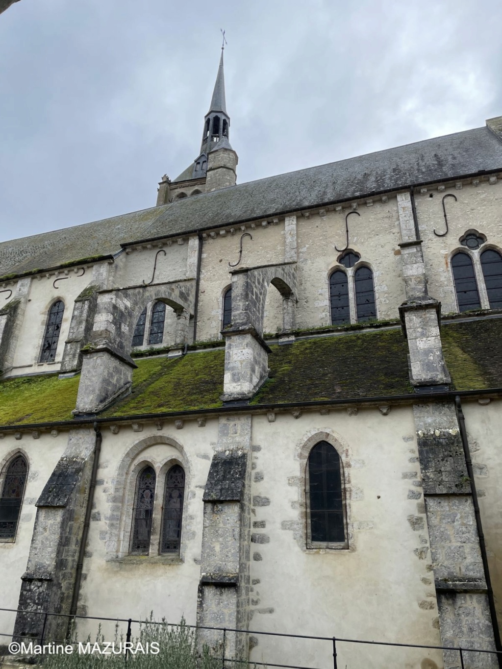 Donnemarie-Dontilly (77) - Eglise Notre Dame de la Nativité Donnem11