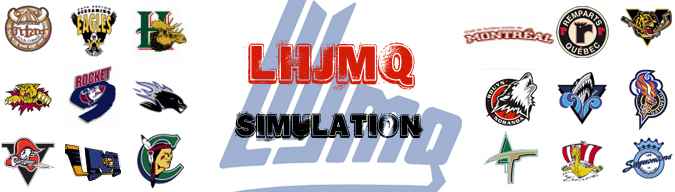 LHJMQ Simulation