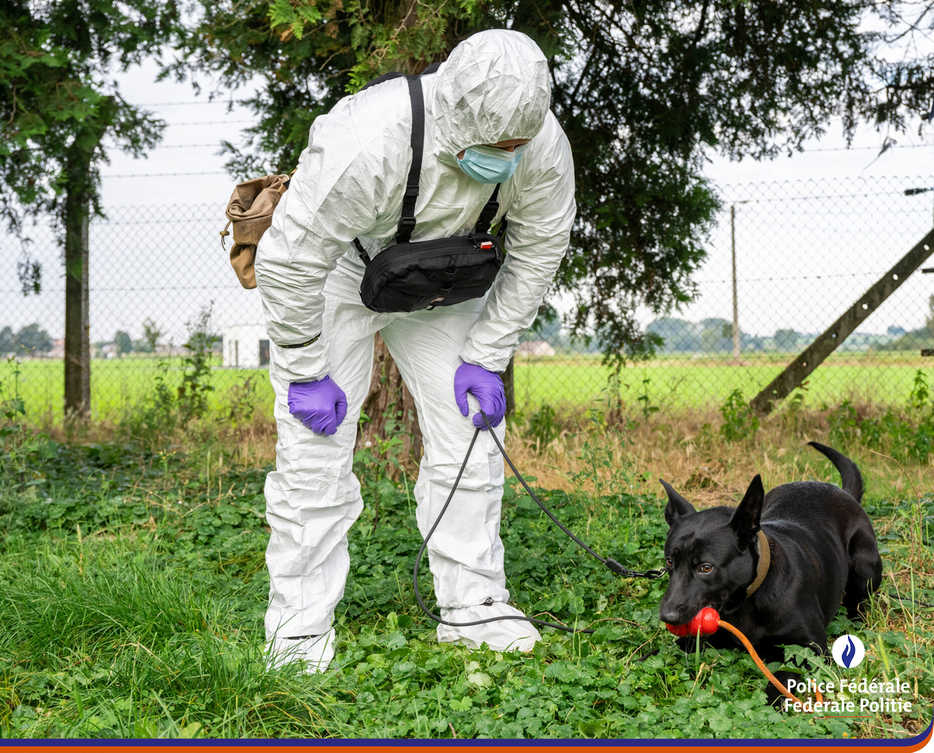 Zennah, premier chien "moeurs" de la police belge 20210923