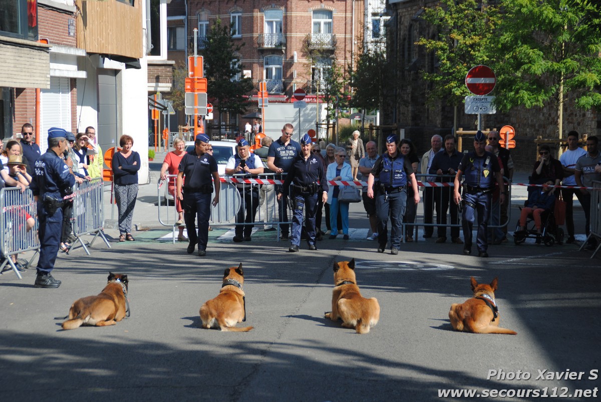 Démonstration de la Brigade canine lors de la Journée du chien à Jette (2/09/2018 + photos) Dsc_0030