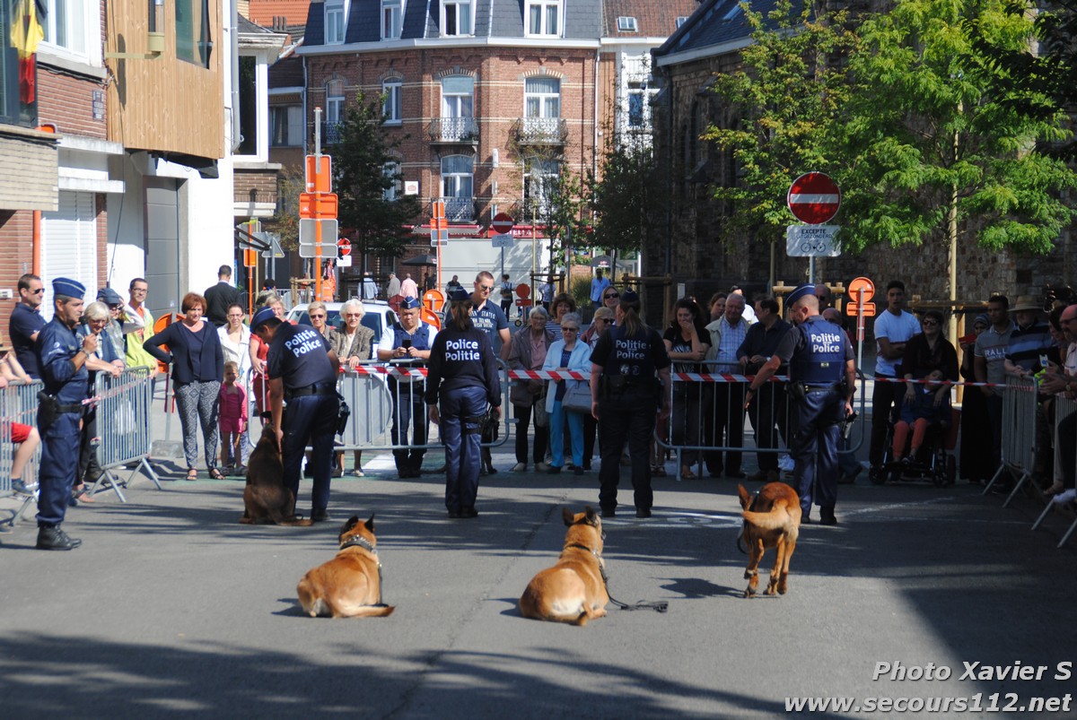 Démonstration de la Brigade canine lors de la Journée du chien à Jette (2/09/2018 + photos) Dsc_0033