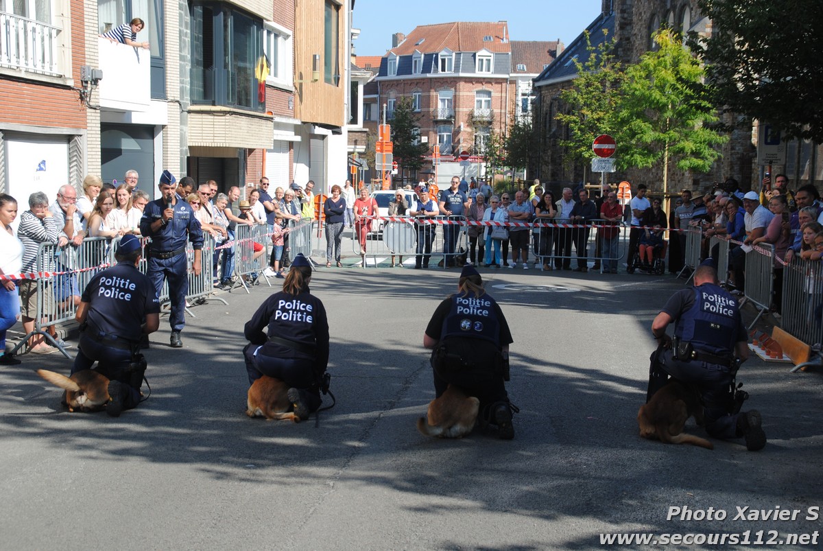 Démonstration de la Brigade canine lors de la Journée du chien à Jette (2/09/2018 + photos) Dsc_0035