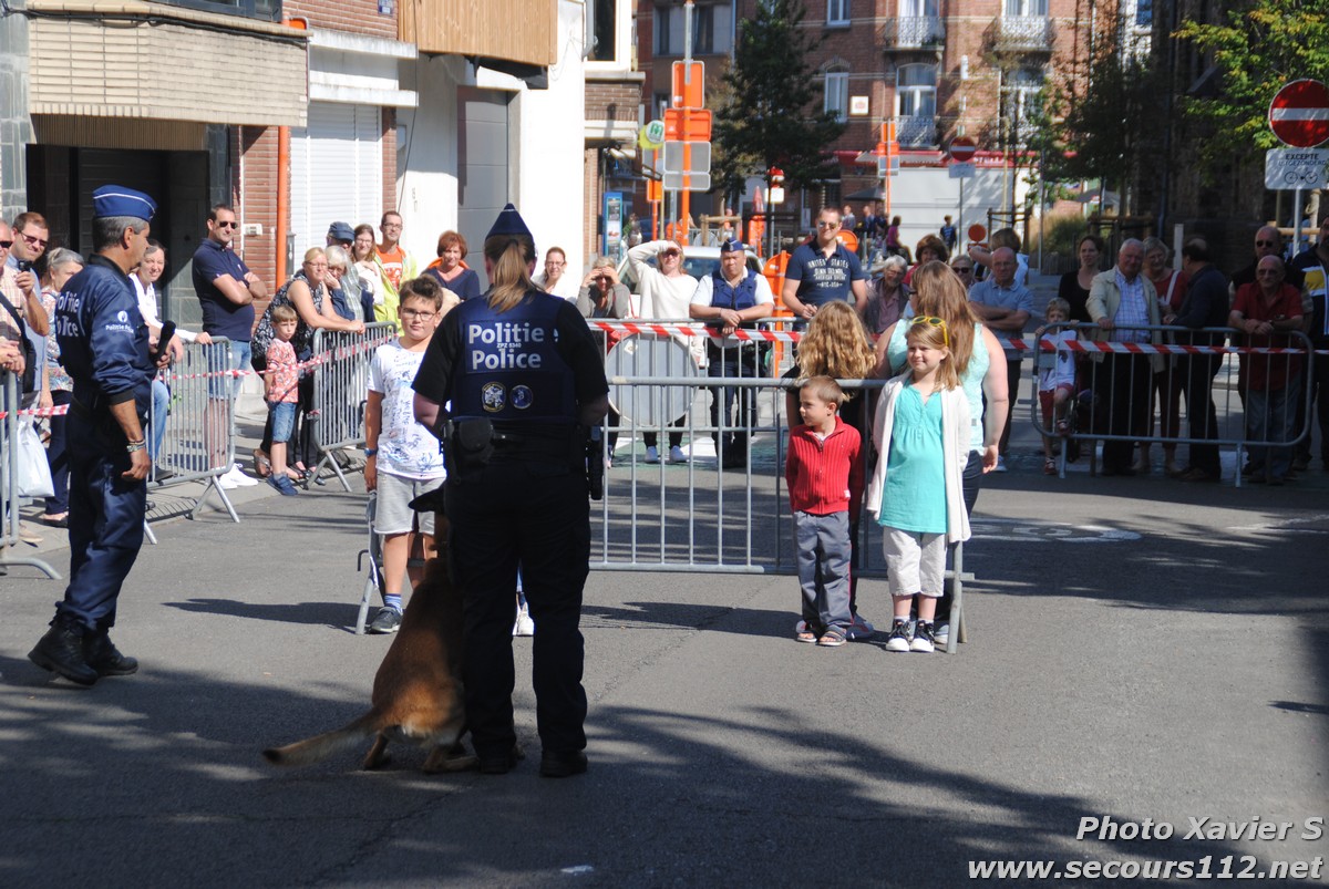 Démonstration de la Brigade canine lors de la Journée du chien à Jette (2/09/2018 + photos) Dsc_0037