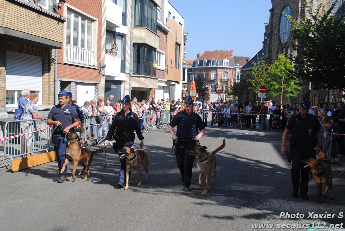Démonstration de la Brigade canine lors de la Journée du chien à Jette (2/09/2018 + photos) Dsc_0038