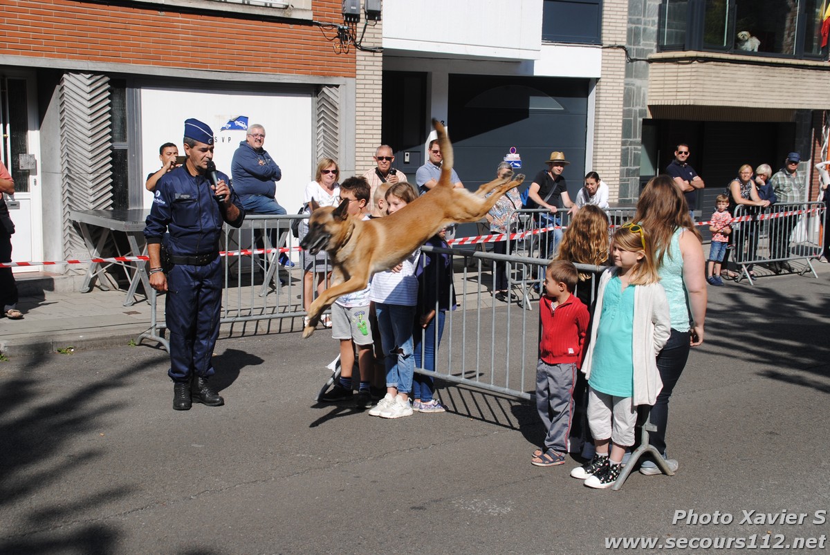 Démonstration de la Brigade canine lors de la Journée du chien à Jette (2/09/2018 + photos) Dsc_0039