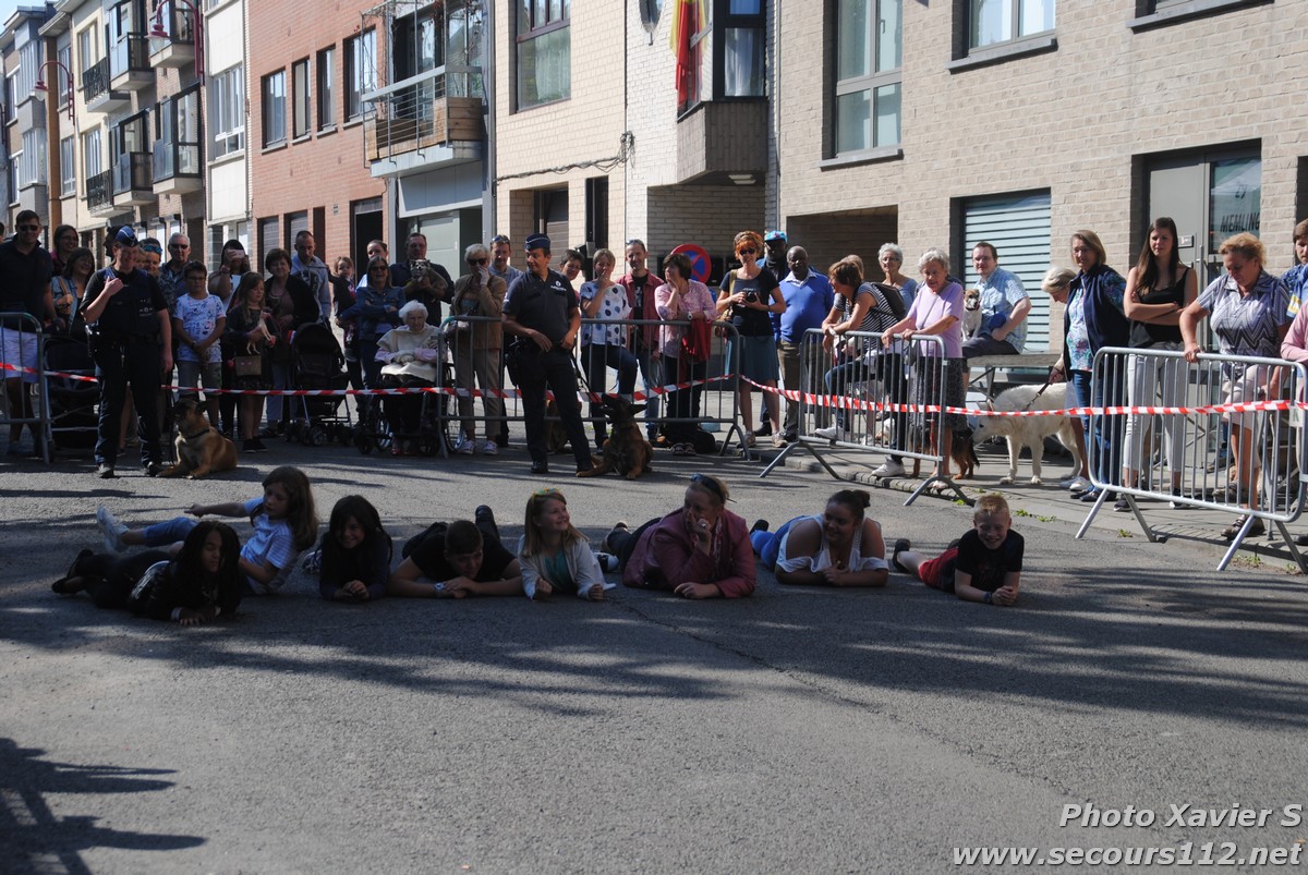 Démonstration de la Brigade canine lors de la Journée du chien à Jette (2/09/2018 + photos) Dsc_0044