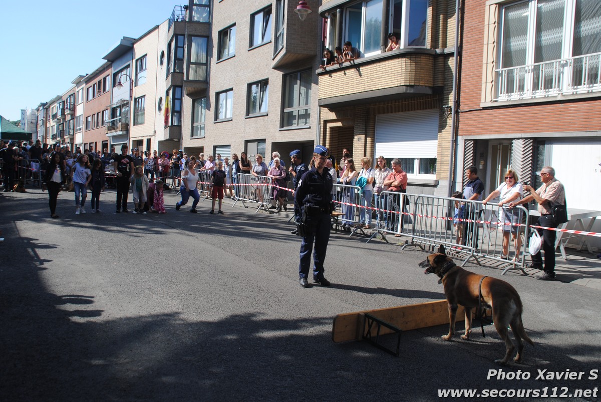 Démonstration de la Brigade canine lors de la Journée du chien à Jette (2/09/2018 + photos) Dsc_0046