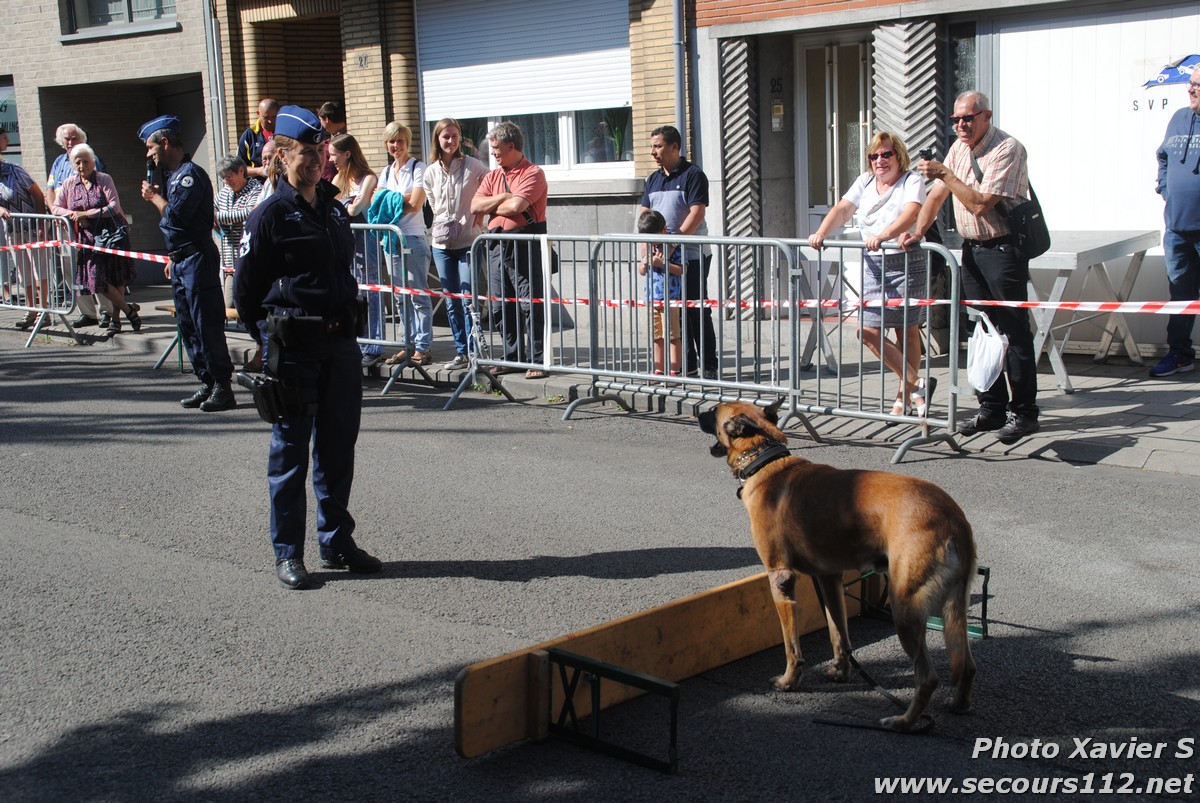 Démonstration de la Brigade canine lors de la Journée du chien à Jette (2/09/2018 + photos) Dsc_0047