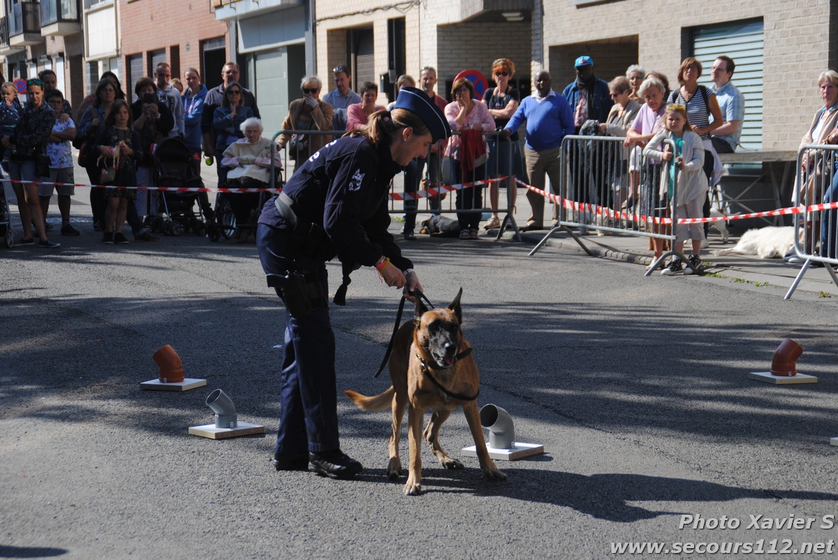 Démonstration de la Brigade canine lors de la Journée du chien à Jette (2/09/2018 + photos) Dsc_0131