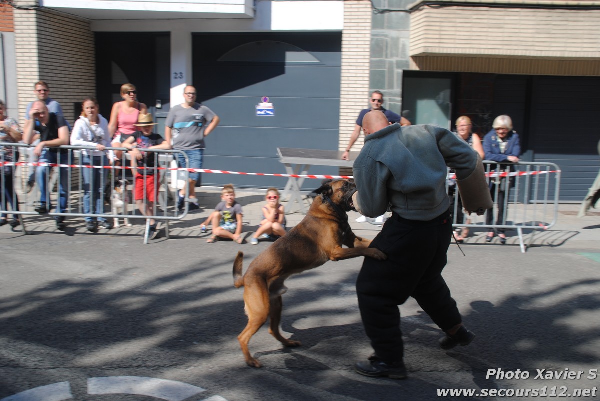 Démonstration de la Brigade canine lors de la Journée du chien à Jette (2/09/2018 + photos) Dsc_0136