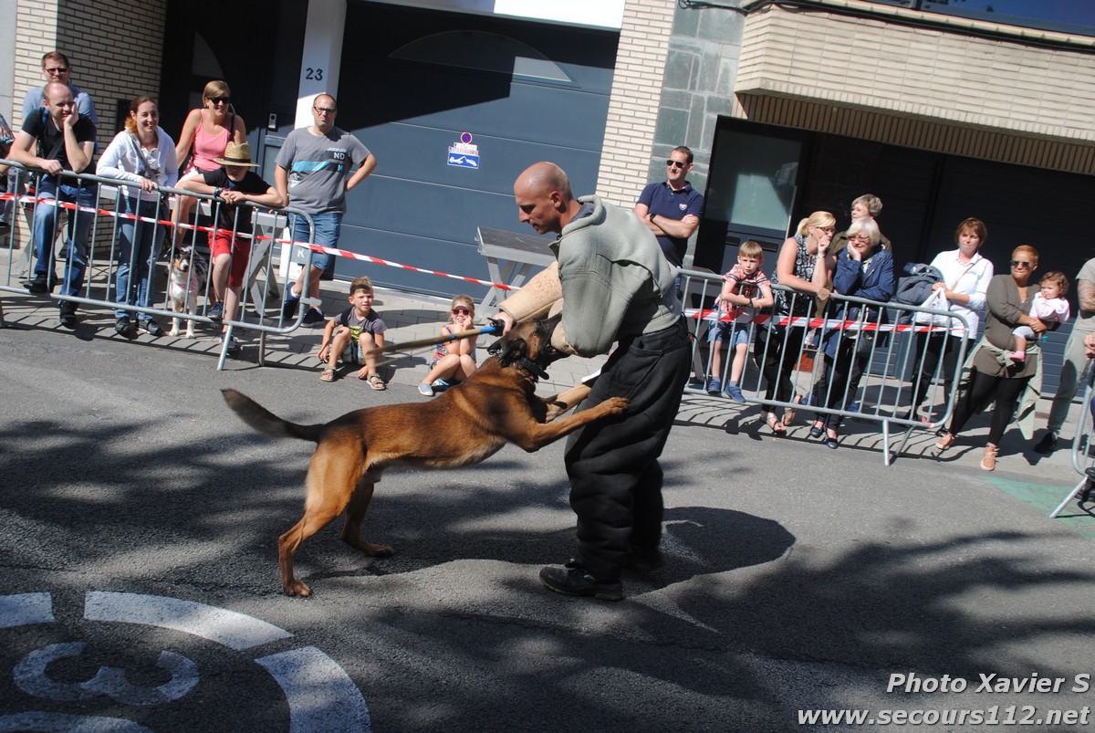 Démonstration de la Brigade canine lors de la Journée du chien à Jette (2/09/2018 + photos) Dsc_0138