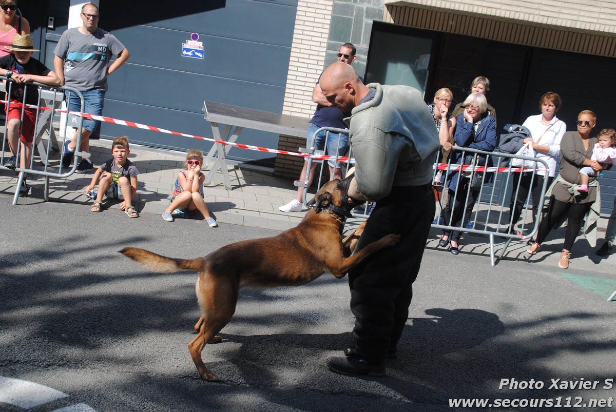 Démonstration de la Brigade canine lors de la Journée du chien à Jette (2/09/2018 + photos) Dsc_0139