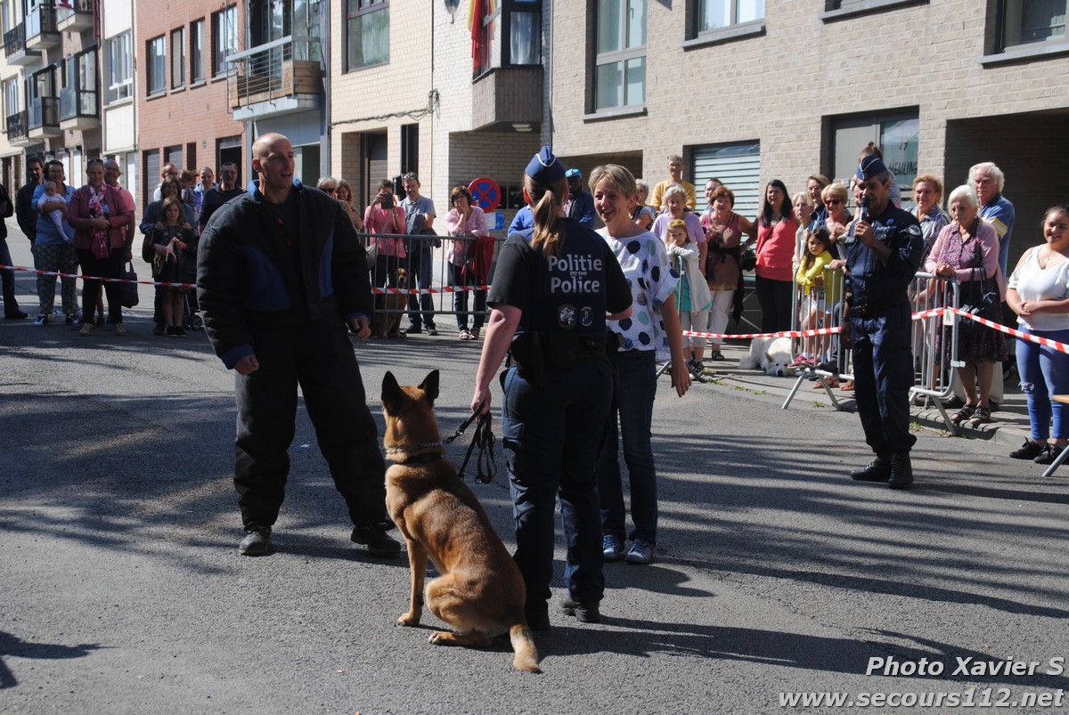 Démonstration de la Brigade canine lors de la Journée du chien à Jette (2/09/2018 + photos) Dsc_0141