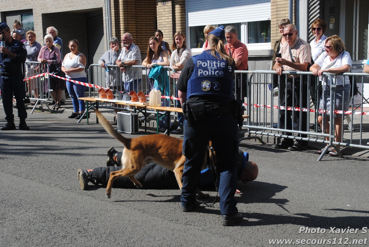 Démonstration de la Brigade canine lors de la Journée du chien à Jette (2/09/2018 + photos) Dsc_0219