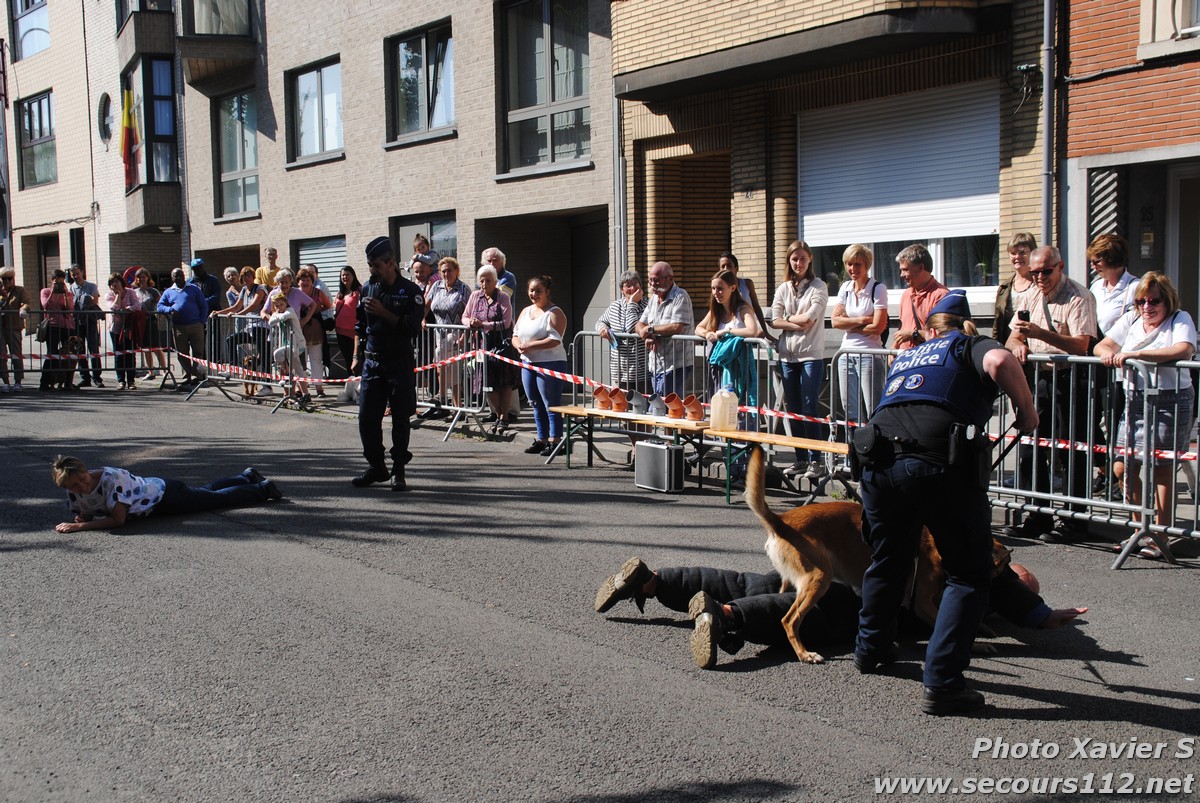 Démonstration de la Brigade canine lors de la Journée du chien à Jette (2/09/2018 + photos) Dsc_0221